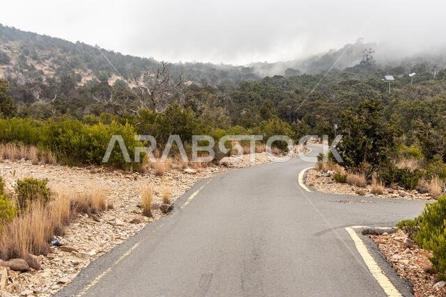 ممر معبد بالقرب من جبل السودة، المملكة العربية السعودية ممر معبد بالقرب من جبل السودة، المملكة العربية السعودية