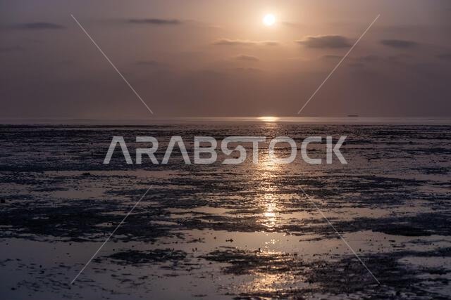 Moon shining over a coast of Farasan island, Saudi Arabia