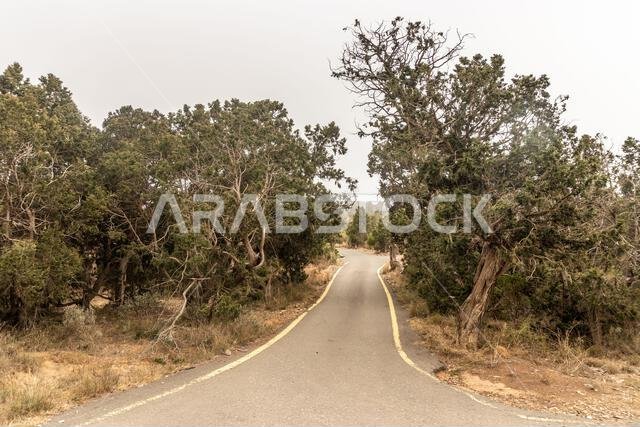 Paved path near Jabal Sawda mountain, Saudi Arabia