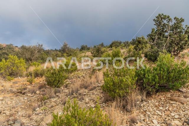 منظر طبيعي لجبل السودة بالمملكة العربية السعودية منظر طبيعي لجبل السودة بالمملكة العربية السعودية