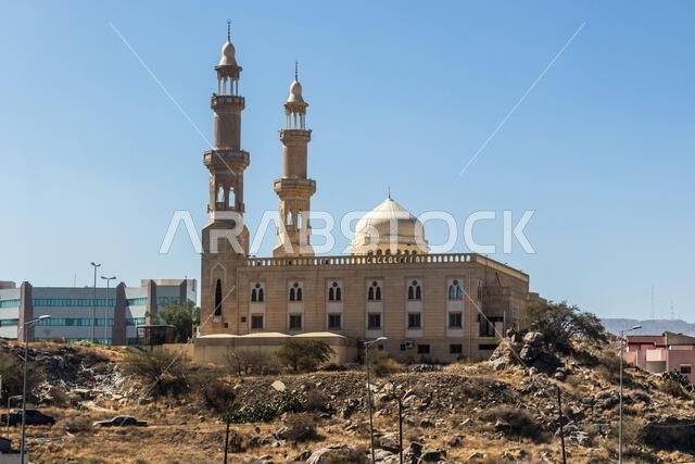 جامع أبو بكر الصديق الكبير في أبها، المملكة العربية السعودية
