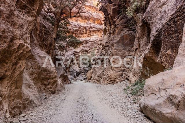 Path in Wadi Lajab gorge, Saudi Arabia