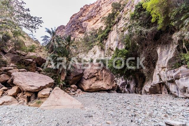 Wadi Lajab gorge, Saudi Arabia Wadi Lajab gorge, Saudi Arabia