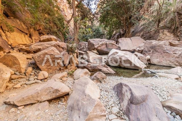 View of Wadi Lajab canyon, Saudi Arabia