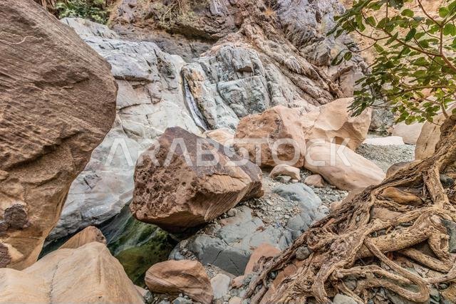Wadi Lajab canyon, Saudi Arabia