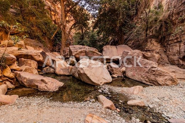 View of Wadi Lajab canyon, Saudi Arabia View of Wadi Lajab canyon, Saudi Arabia