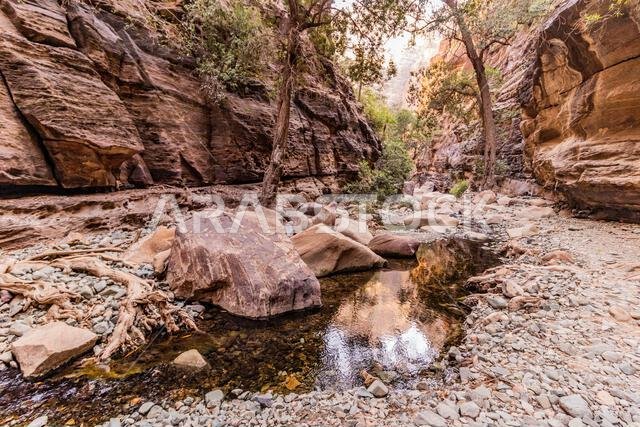 View of Wadi Lajab canyon, Saudi Arabia View of Wadi Lajab canyon, Saudi Arabia