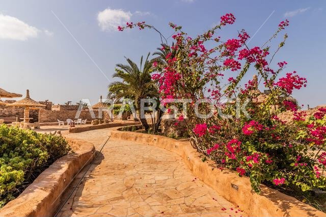 Al Qassar heritage village on Farasan island, Saudi Arabia Al Qassar heritage village on Farasan island, Saudi Arabia