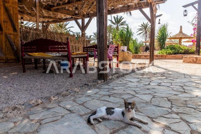 Cafe in Al Qassar heritage village on Farasan island, Saudi Arabia