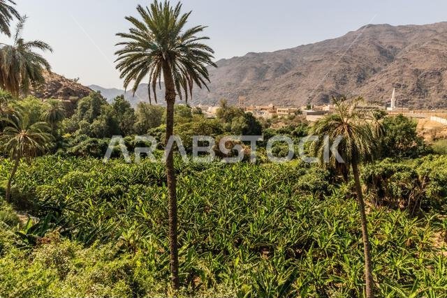 Landscape around Thee Ain ( Dhi Ayn) village, Saudi Arabia