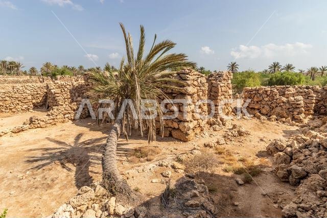 Houses in Al Qassar heritage village on Farasan island, Saudi Arabia