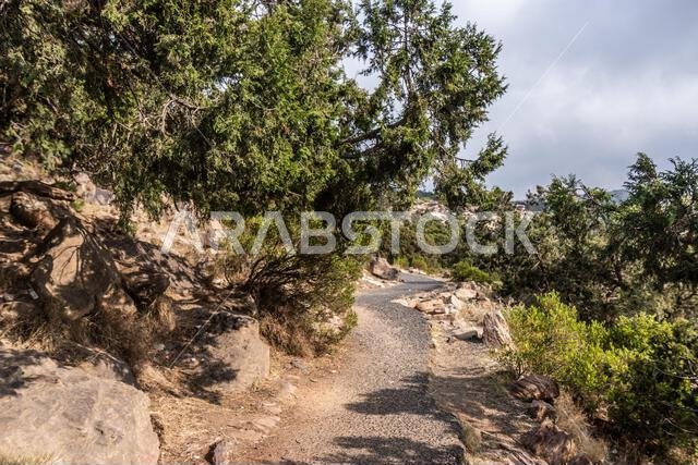 Hiking trail near Jabal Sawda mountain, Saudi Arabia