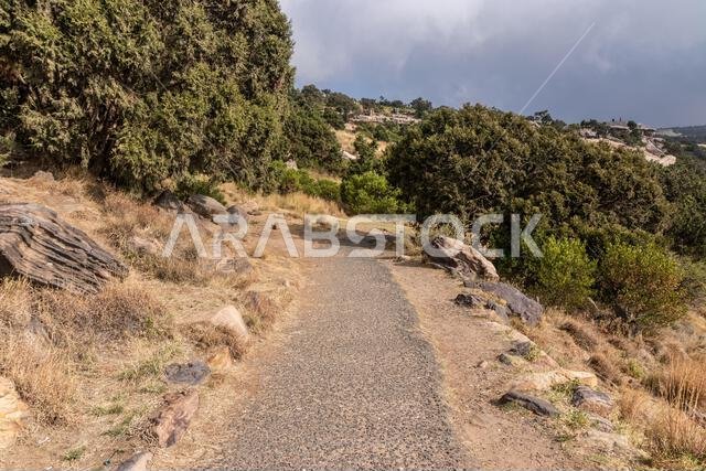Hiking trail near Jabal Sawda mountain, Saudi Arabia