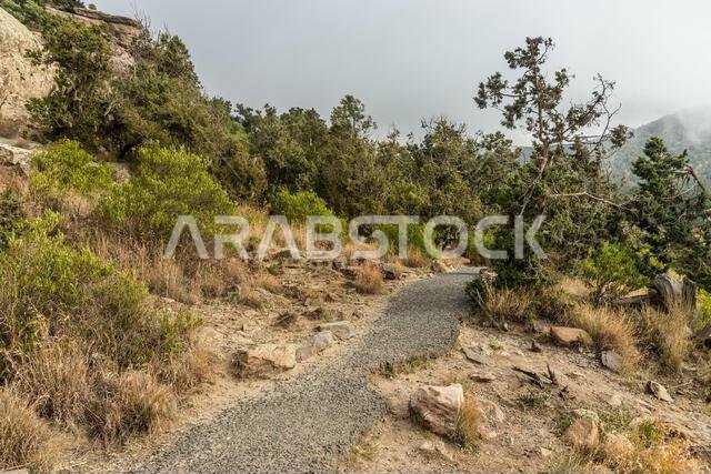 Hiking trail near Jabal Sawda mountain, Saudi Arabia