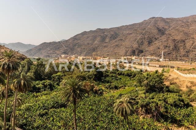 Landscape of Thee Ain ( Dhi Ayn) village, Saudi Arabia