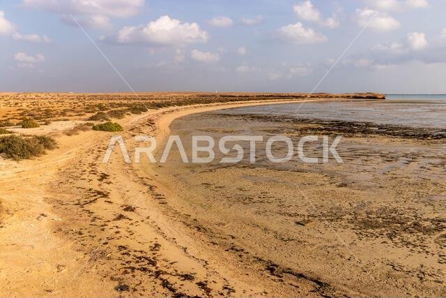 Sand beach on Farasan island, Saudi Arabia Sand beach on Farasan island, Saudi Arabia