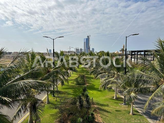 مدينة جدة - المملكة العربية السعودية