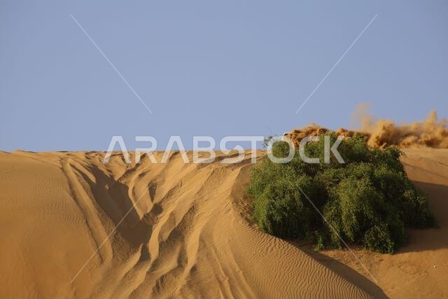 Nawan , Saudi Arabia  Jan 7 2023: 4x4 cars drift across Saudi Arabia’s striking sand desert. The vehicles perform thrilling maneuvers, on sand dunes