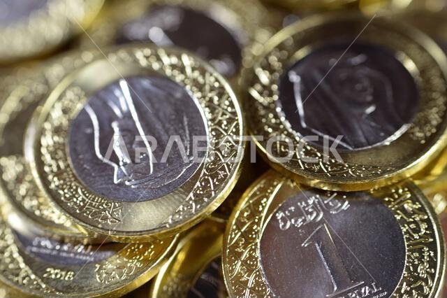 تتميز رزم العملات المعدنية من فئة ريال سعودي واحد بصورة الملك سلمان بن عبد العزيز، مع شعارات النبالة المتعددة داخل الزخارف النباتية، سعود تتميز رزم العملات المعدنية من فئة ريال سعودي واحد بصورة الملك سلمان بن عبد العزيز، مع شعارات النبالة المتعددة داخل الزخارف النباتية، سعود