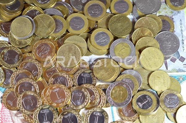 عملات معدنية من الريال السعودي، فئات 2 و1 ونصف وربع ريال، بالإضافة إلى أوراق نقدية من الريال السعودي بقيم مختلفة، ورموز نقدية واقتصادية.