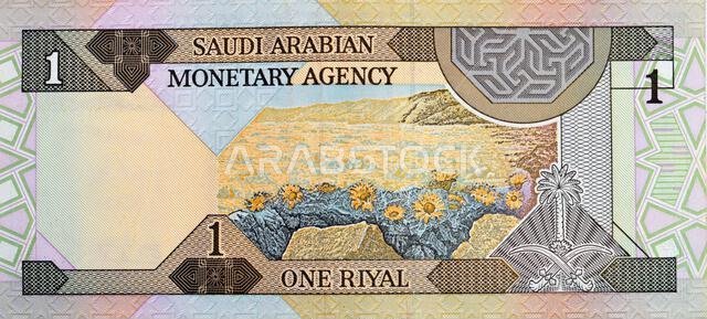 Large fragment of the reverse side of an old Saudi Arabia banknote bill, one 1 Riyal SAR features a landscape scene and the Saudi Arabian national emb