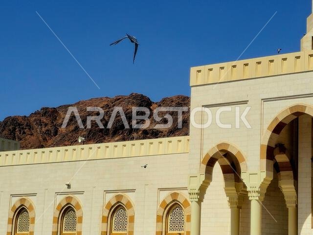 جبل أحد، وهو جبل يقع شمال المدينة المنورة، موقع المعركة الثانية بين النبي محمد صلى الله عليه وسلم ومشركي قبيلته قريش.