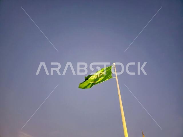 The national flag of Saudi Arabia kingdom, a green background with Arabic inscription and a sword in white, with inscription of the Islamic creed, or