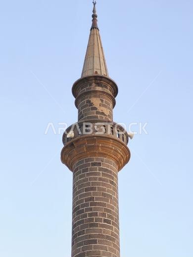 مسجد الأنبارية، أو المسجد الحميدية، هو مسجد بناه الأتراك العثمانيون في المدينة المنورة، وقد بناه السلطان العثماني عبد الحميد الثاني عام 1908.