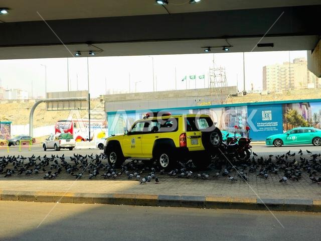 مكة المكرمة، المملكة العربية السعودية، 8 يونيو 2024: سيارة نيسان باترول تابعة للدفاع المدني محاطة بالعديد من الحمام الحرام في أحد شوارع مكة المكرمة، عاصمة محافظة مكة المكرمة. مكة المكرمة، المملكة العربية السعودية، 8 يونيو 2024: سيارة نيسان باترول تابعة للدفاع المدني محاطة بالعديد من الحمام الحرام في أحد شوارع مكة المكرمة، عاصمة محافظة مكة المكرمة.