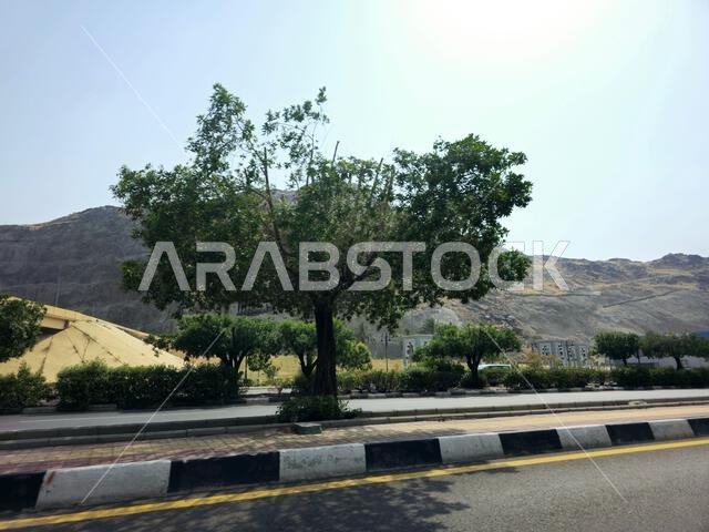 مكة المكرمة، المملكة العربية السعودية، 8 يونيو 2024: جبال مكة المكرمة، عاصمة منطقة مكة المكرمة في منطقة الحجاز غرب المملكة العربية السعودية و