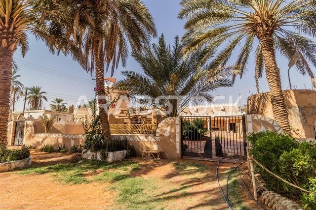 حديقة نخيل في جبة، المملكة العربية السعودية