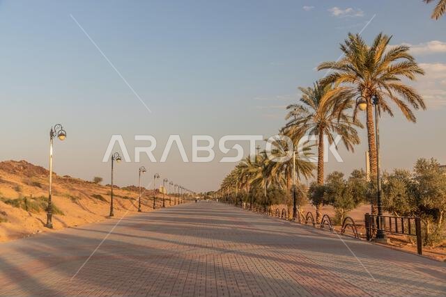 ممر في حديقة الأمير سعود بن عبد المحسن في حائل، المملكة العربية السعودية