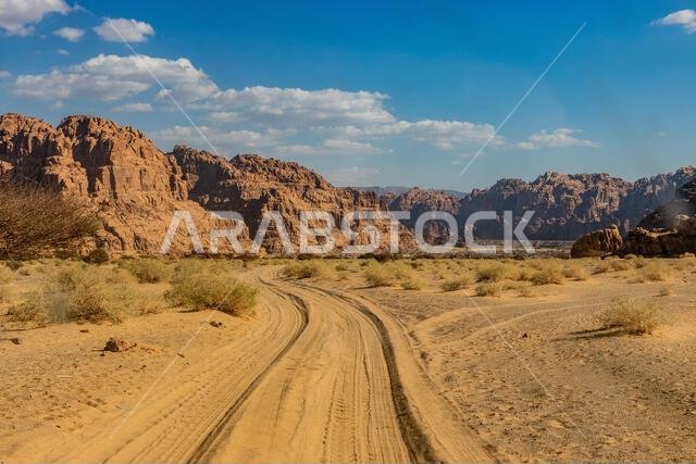 المسار الرملي عبر وادي الديسة بالمملكة العربية السعودية المسار الرملي عبر وادي الديسة بالمملكة العربية السعودية