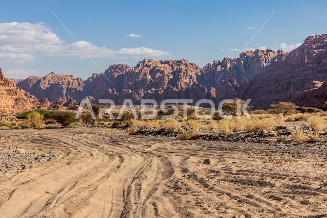 المسار الرملي عبر وادي الديسة، المملكة العربية السعودية