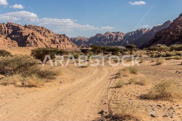 المسار الرملي عبر وادي الديسة، المملكة العربية السعودية