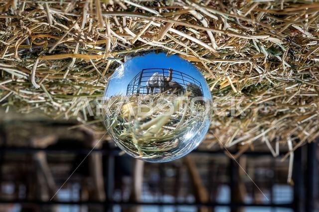 A unique perspective of camels in Saudi Arabia’s Sarar Desert through a crystal ball.