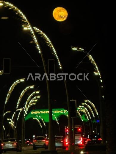 Doha, Qatar. 17th Nov, 2024. A supermoon appears in the skies over Doha, as the last supermoon of 2024 rises over Qatar, Saudi Arabia and the United Arab Emirates. Credit: SOPA Images Limited/Alamy Live News