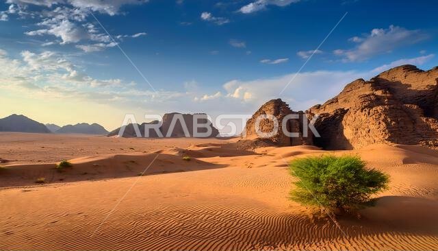 منظر خلاب لشروق الشمس في الصحراء بالقرب من تبوك، المملكة العربية السعودية