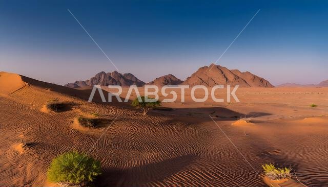 Beautiful desert sunrise view near Tabuk,Saudi Arabia