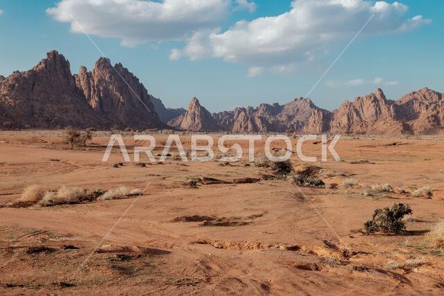  منظر صحراوي صخري مهيب مع جبال شاهقة. المملكة العربية السعودية. 