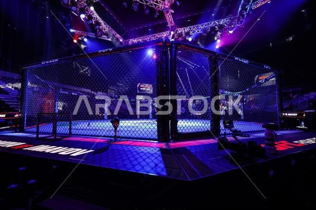 Riyadh, Saudi Arabia. 01st Feb, 2025. RIYADH, SAUDI ARABIA - FEBRUARY 1: General view of the octagon pior to the UFC Fight Night: Adesanya v Imavov event at anb Arena on February 1, 2025 in Riyadh, Saudi Arabia. (Photo by Danny Perez/PxImages) Credit: Px Images/Alamy Live News