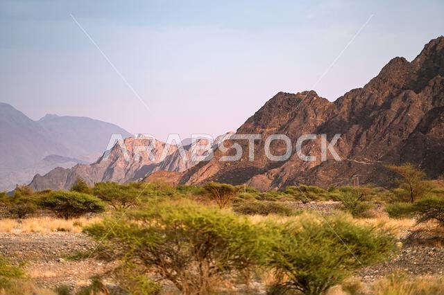 Traditional arabian landscape with mountains, during evening