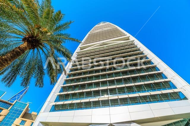 الرياض، المملكة العربية السعودية - 8 يناير 2025: أشجار النخيل تُحيط بالعمارة الحديثة لبرج الفيصلية ومركز المملكة تحت سماء زرقاء صافية.