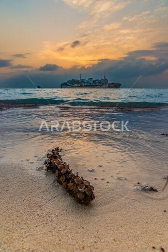 Red Sea shore shipwreck in Jeddah, Saudi Arabia Red Sea shore shipwreck in Jeddah, Saudi Arabia