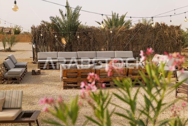 Outdoor lounge in a palm oasis. Saudi Arabia.