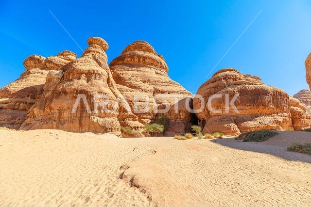 تُظهر تكوينات الحجر الرملي في جبل إثلب، الديوان والسيق في الحِجر، العلا، المملكة العربية السعودية، قوة فن الطبيعة وتخلق