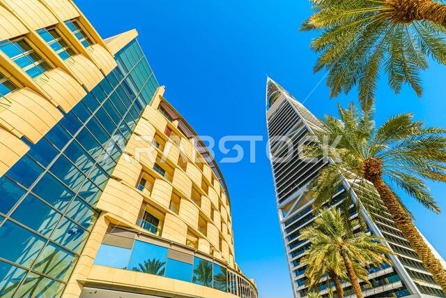 الرياض، المملكة العربية السعودية - 8 يناير 2025: أشجار النخيل تُحيط بالعمارة الحديثة لبرج الفيصلية ومركز المملكة تحت سماء زرقاء صافية.