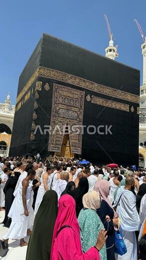 يؤدي الحجاج المسلمون طواف الكعبة المشرفة بعد صلاة الفجر في المسجد الحرام بمكة المكرمة. الحمد لله الذي خلق السماوات