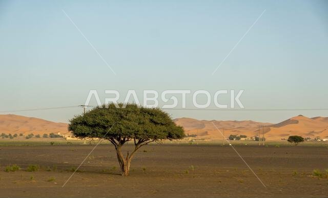 a desert landscape in rural Morocco