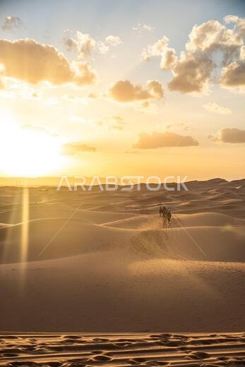 استكشاف صحراء ساراها في المغرب 